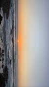 anneliese.mitchell1 Altpins Profile Picture