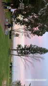 anneliese.mitchell1 Altpins Profile Picture