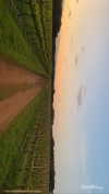 anneliese.mitchell1 Altpins Profile Picture