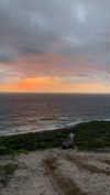 anneliese.mitchell1 Altpins Profile Picture