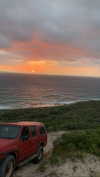 anneliese.mitchell1 Altpins Profile Picture