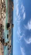 anneliese.mitchell1 Altpins Profile Picture