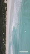 anneliese.mitchell1 Altpins Profile Picture