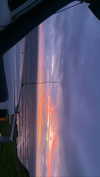 anneliese.mitchell1 Altpins Profile Picture