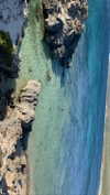anneliese.mitchell1 Altpins Profile Picture