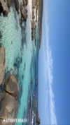 anneliese.mitchell1 Altpins Profile Picture