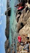 anneliese.mitchell1 Altpins Profile Picture