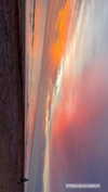 anneliese.mitchell1 Altpins Profile Picture