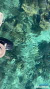 anneliese.mitchell1 Altpins Profile Picture