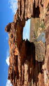anneliese.mitchell1 Altpins Profile Picture
