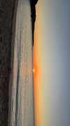 anneliese.mitchell1 Altpins Profile Picture