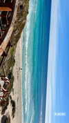anneliese.mitchell1 Altpins Profile Picture