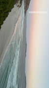 anneliese.mitchell1 Altpins Profile Picture