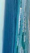 anneliese.mitchell1 Altpins Profile Picture