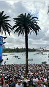 anneliese.mitchell1 Altpins Profile Picture