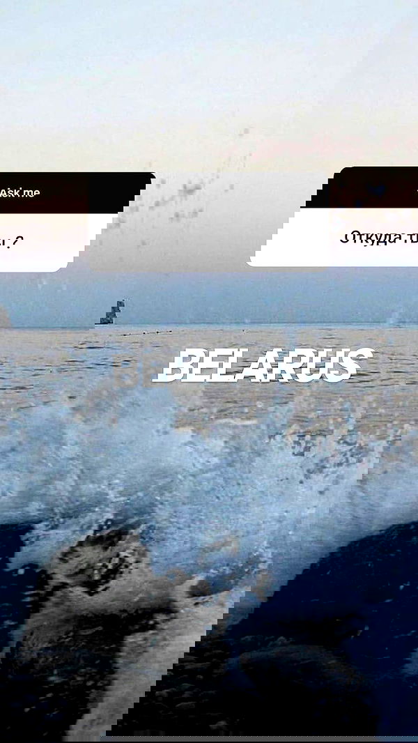 annfigma annfigma archive image