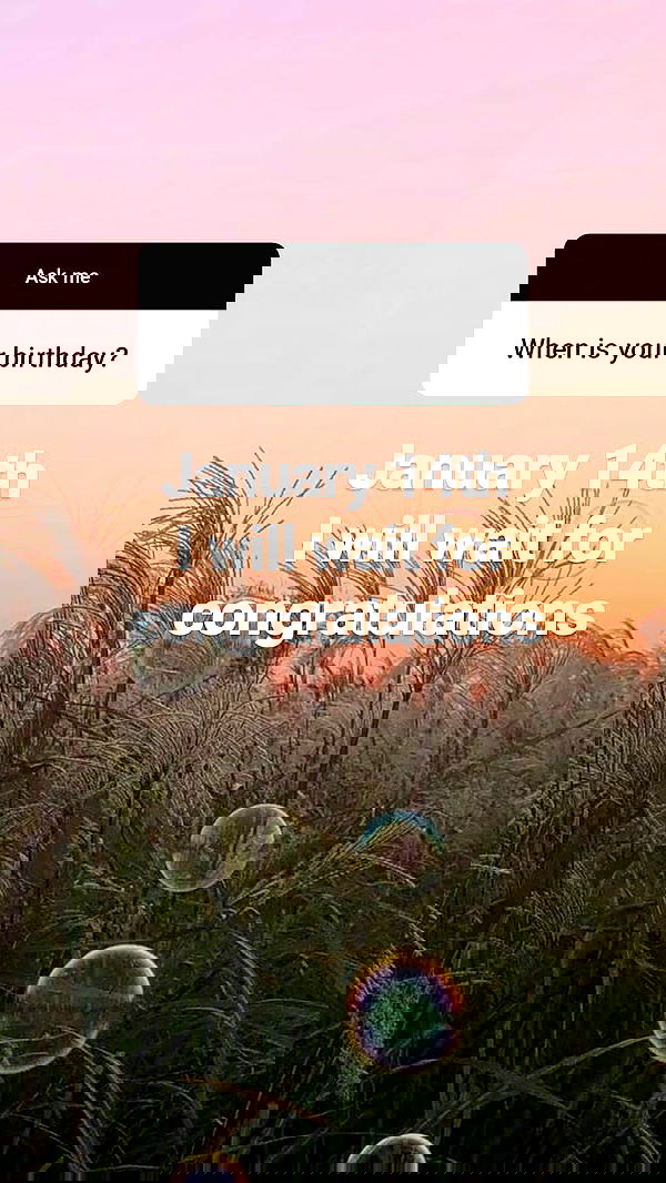 annfigma annfigma archive image