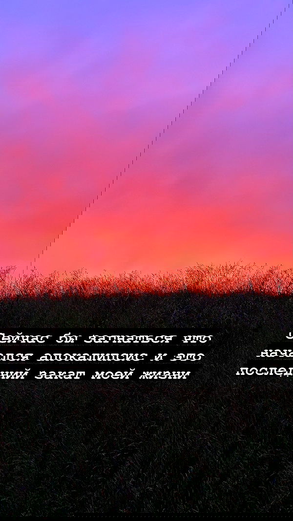 annfigma annfigma archive image