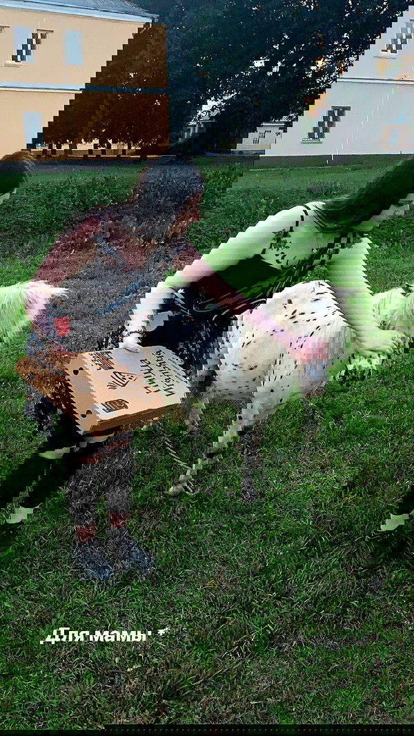 annfigma annfigma archive image