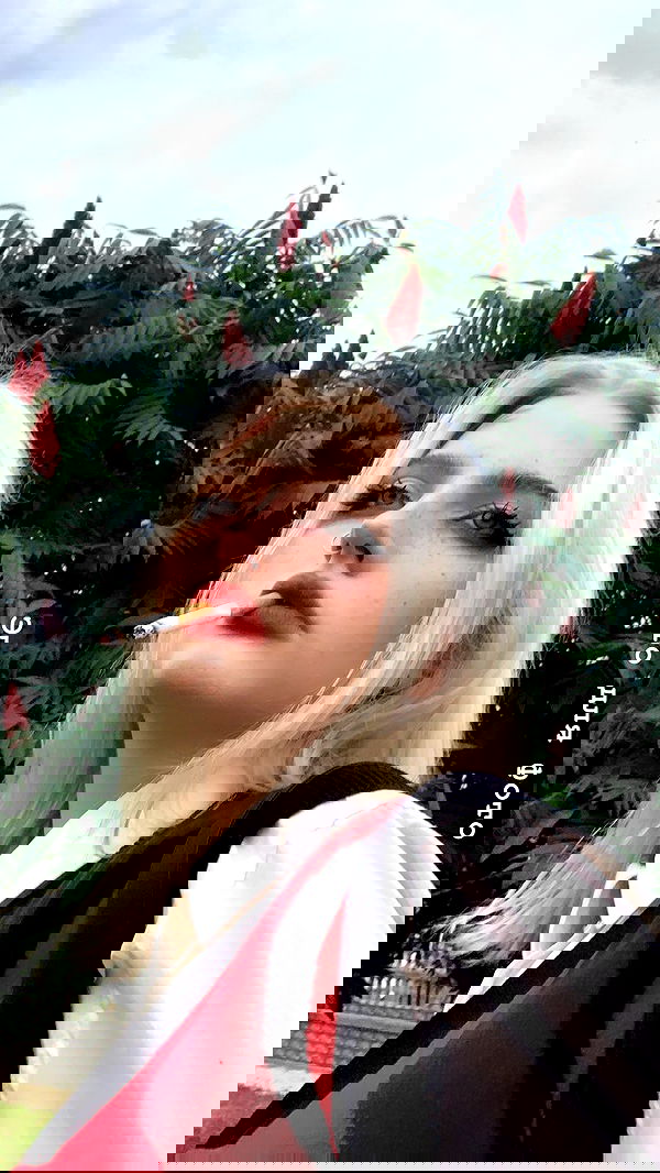 annfigma annfigma archive image