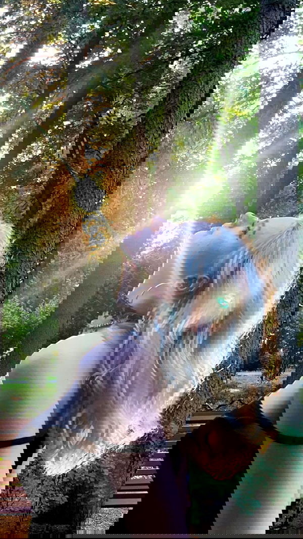 annfigma annfigma archive image