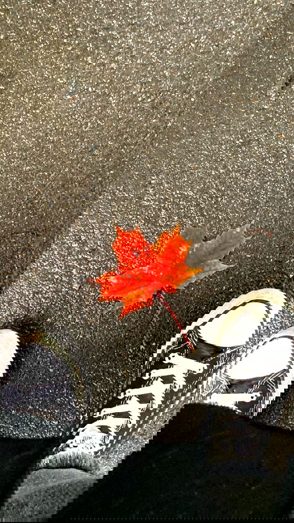 annfigma annfigma archive image