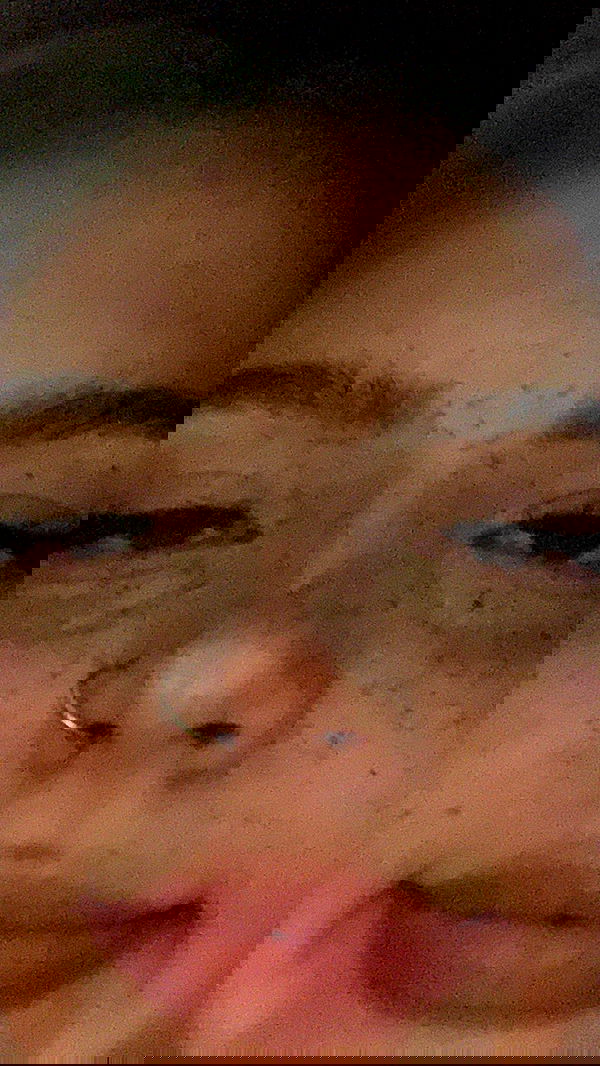 annfigma annfigma archive image