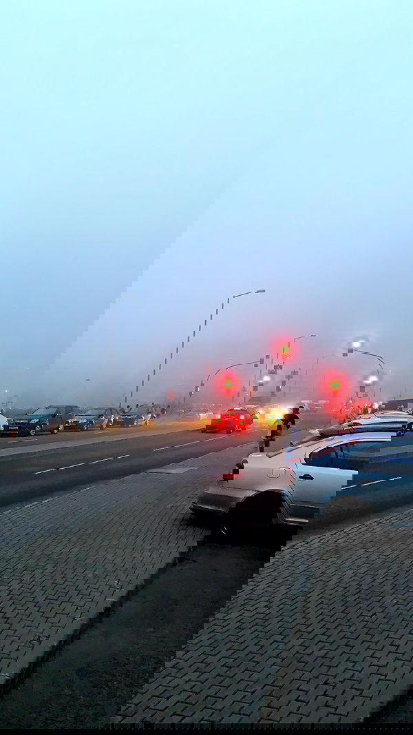 annfigma annfigma archive image