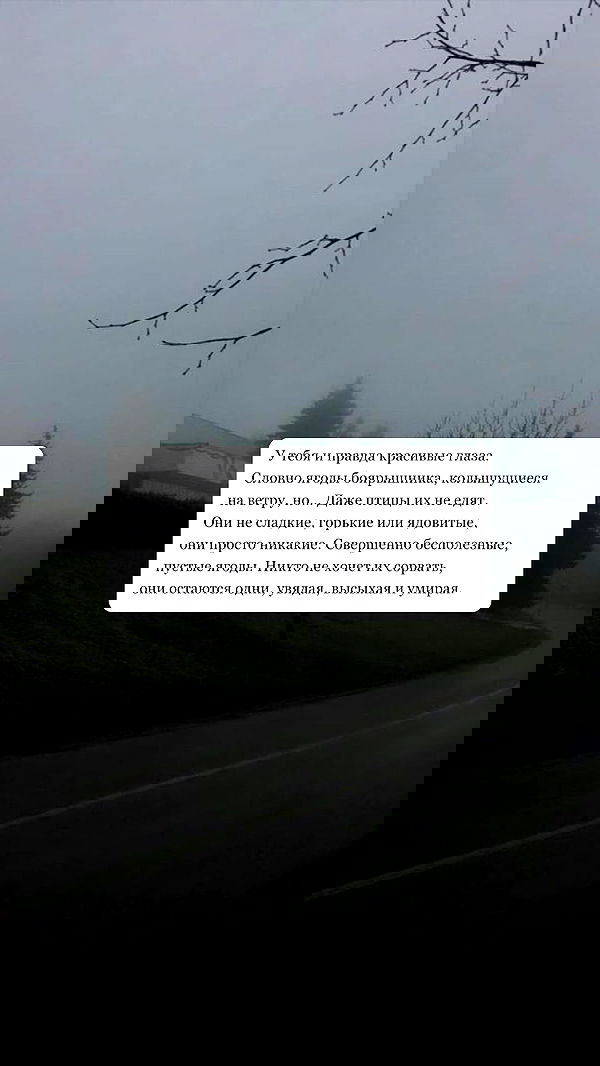 annfigma annfigma archive image