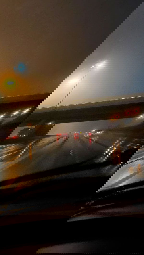 annfigma annfigma archive image