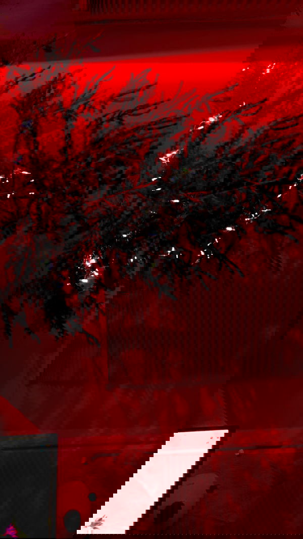 annfigma annfigma archive image