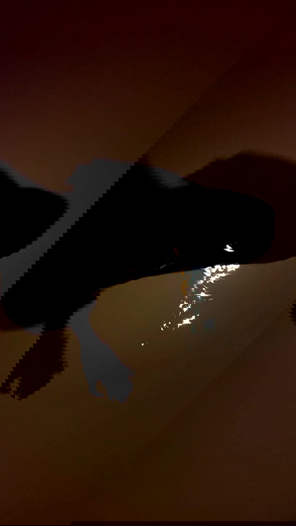 annfigma annfigma archive image