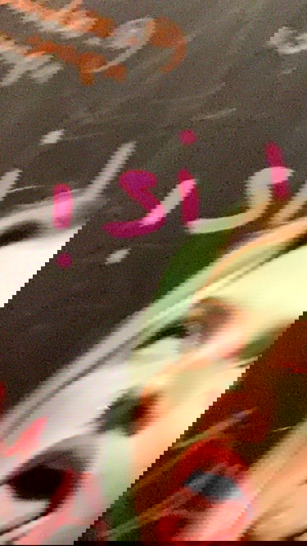 annfigma annfigma archive image