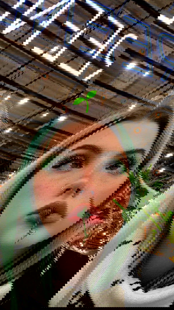 annfigma annfigma archive image