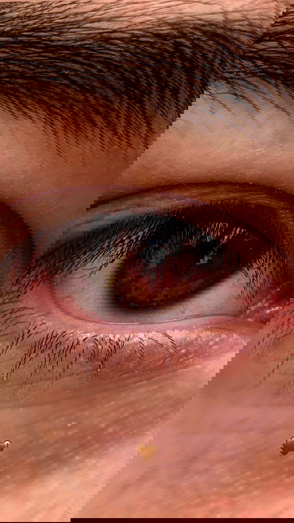 annfigma annfigma archive image