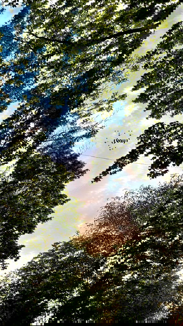 annfigma annfigma archive image