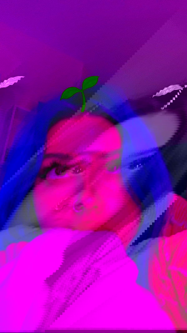 annfigma annfigma archive image