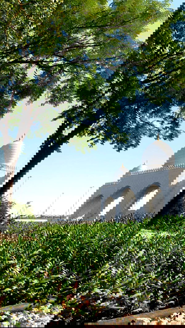 annfigma annfigma archive image