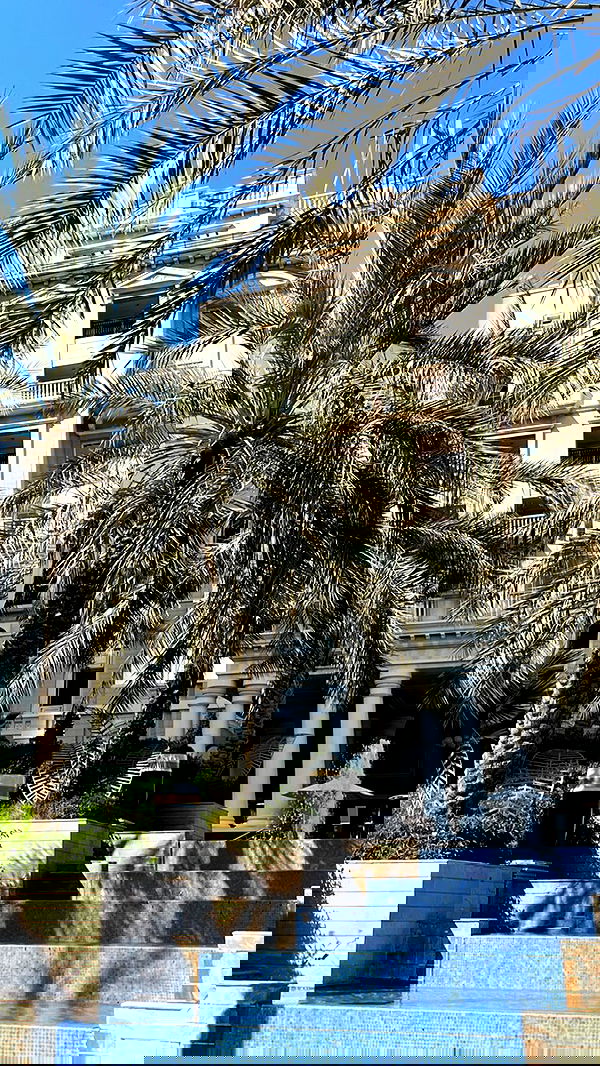 annfigma annfigma archive image