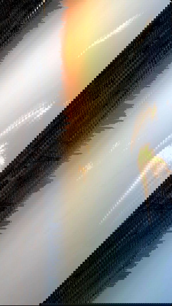 annfigma annfigma archive image