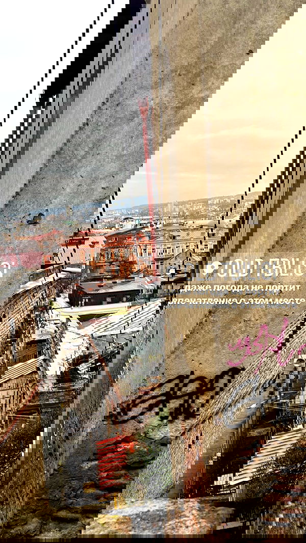 annfigma annfigma archive image