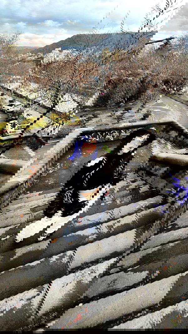 annfigma annfigma archive image