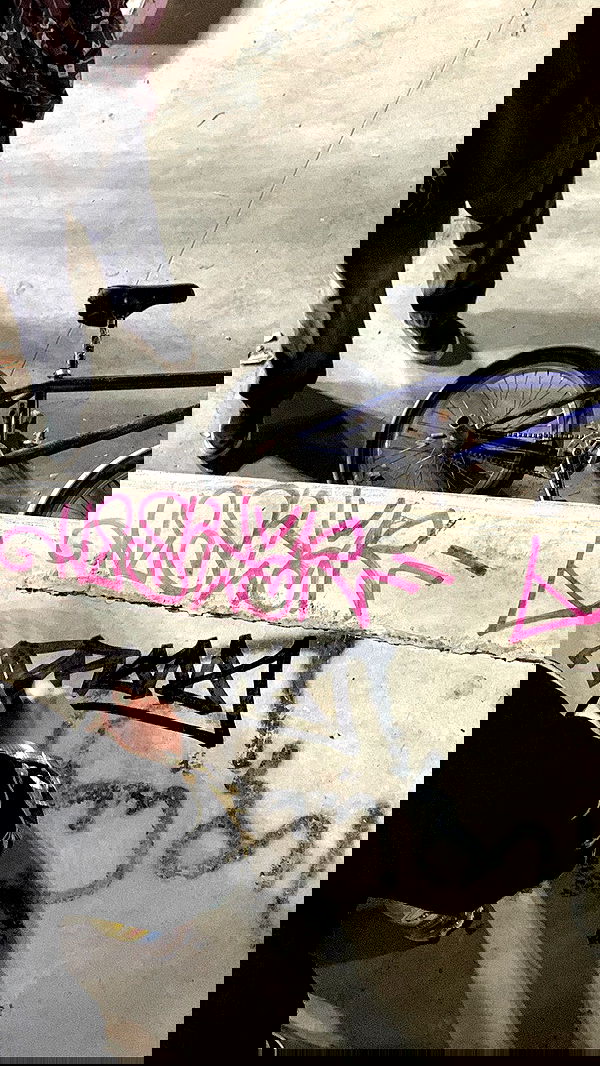 annfigma annfigma archive image