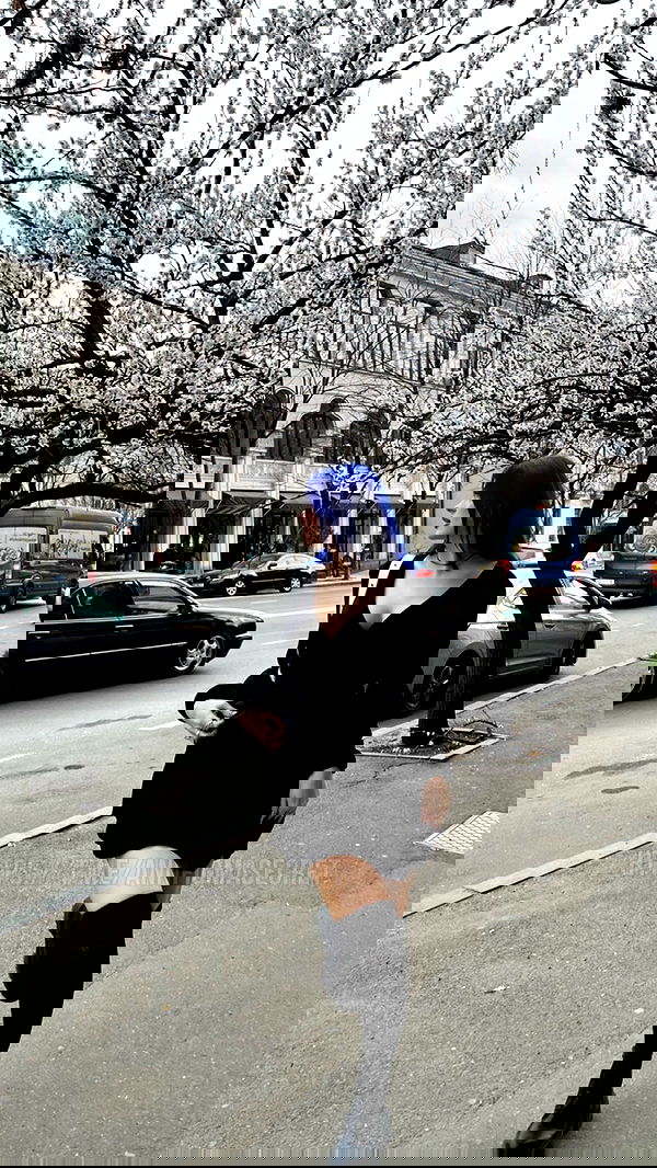 annfigma annfigma archive image