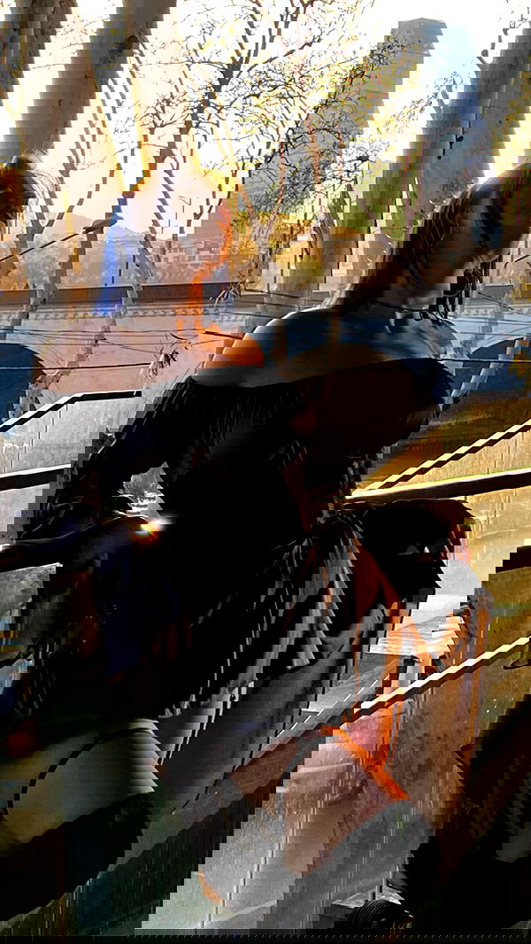 annfigma annfigma archive image