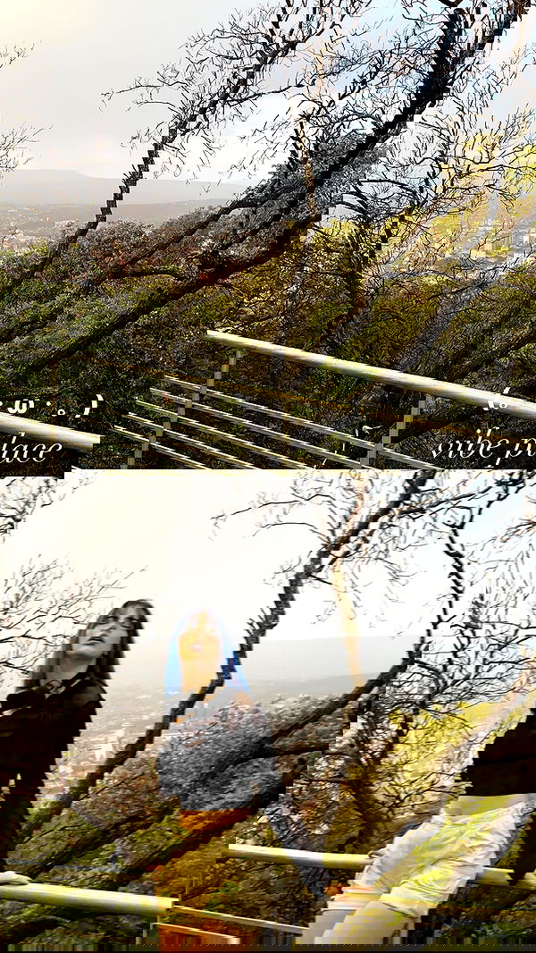 annfigma annfigma archive image