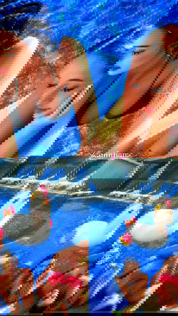 annfigma annfigma archive image