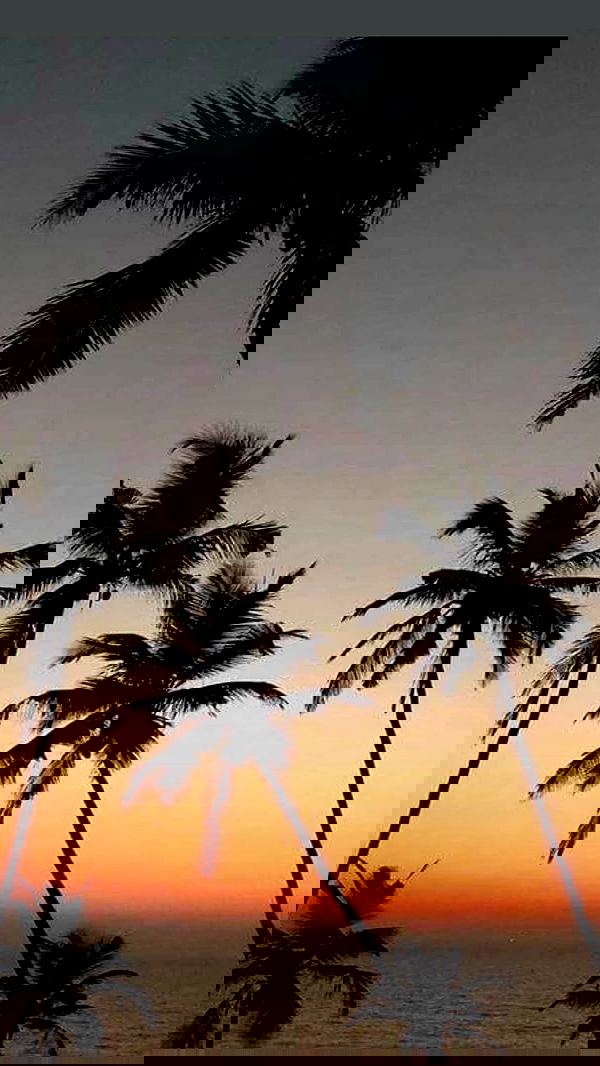 annfigma annfigma archive image