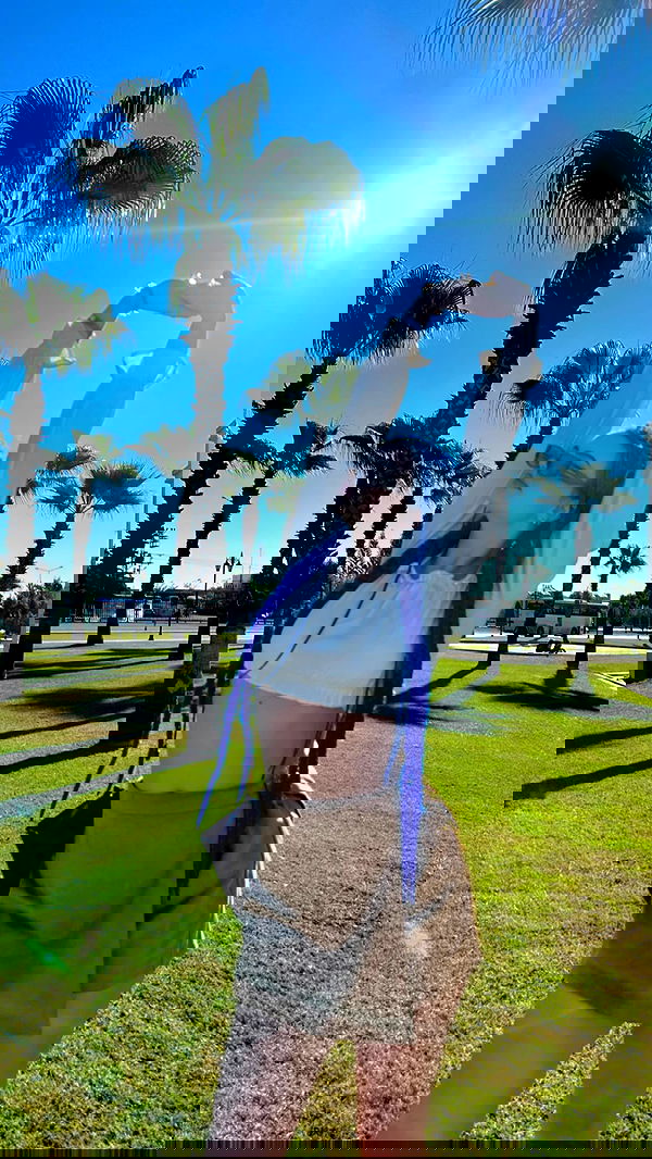 annfigma annfigma archive image