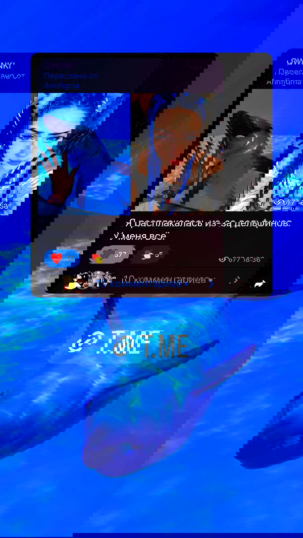 annfigma annfigma archive image